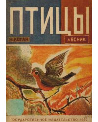 Птицы