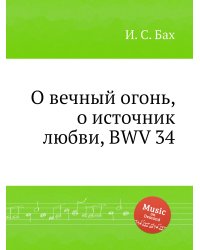 О вечный огонь, о источник любви, BWV 34