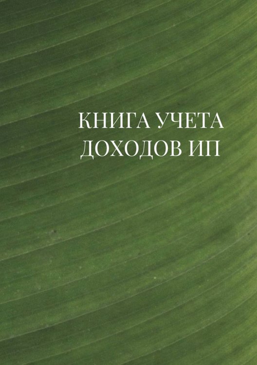 Книга учета доходов для ИП на патенте