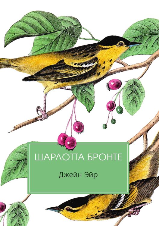 Обложка книги «Джейн Эйр» — Шарлотта Бронте, ISBN 9785517017857