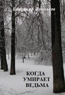 Обложка книги «Когда умирает ведьма» — Владимир Гриньков, ISBN 9785524009517