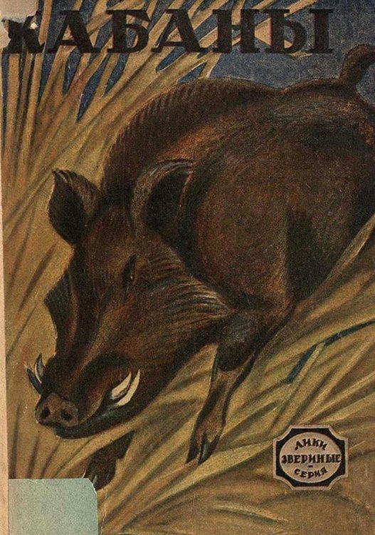 Обложка книги «Кабаны. Рассказ» — Нет автора, ISBN 9785521969432