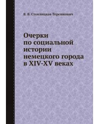Очерки по социальной истории немецкого города в XIV-XV веках