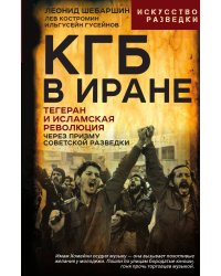 КГБ в Иране. Тегеран и Исламская революция через призму советской разведки