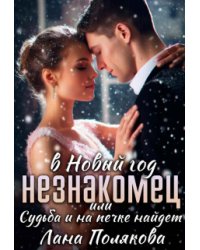 Незнакомец в Новый год или судьба и на печке найдет