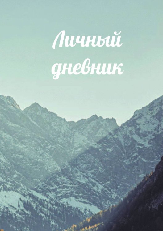 Обложка книги «Личный дневник» — автора нет, ISBN 9785521885411