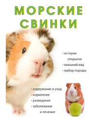 Морские свинки
