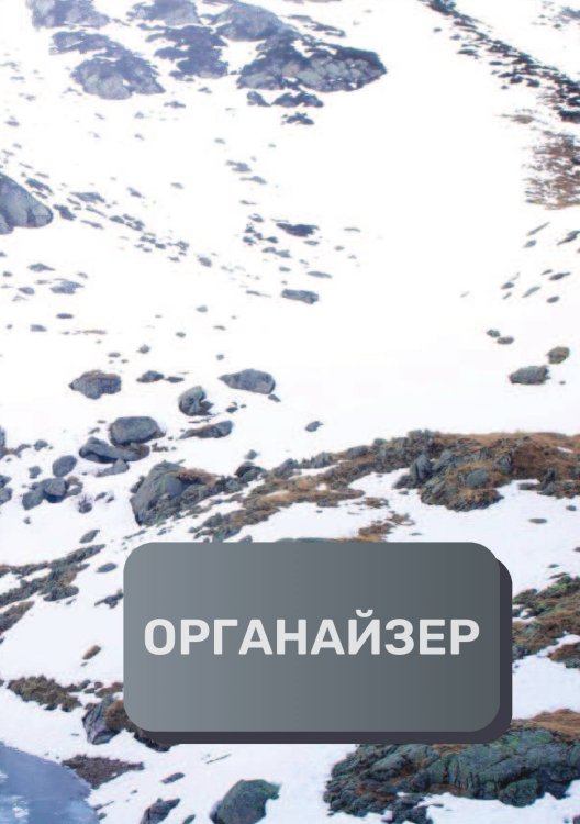 Обложка книги «Деловой органайзер» — автора нет, ISBN 9785521893898
