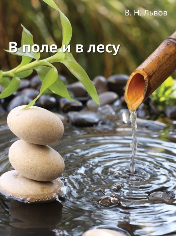В поле и в лесу