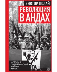 Революция в Андах. Партизаны спускаются с гор