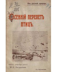 Осенний перелет птиц
