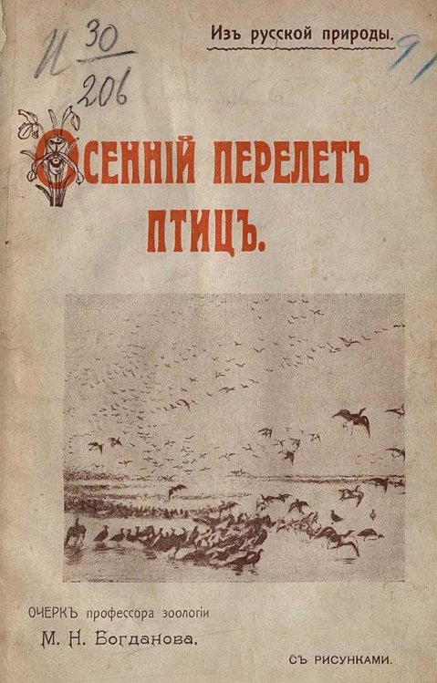 Осенний перелет птиц Обложка книги «Осенний перелет птиц» — Богданов Модест Николаевич, ISBN 9785521976966
