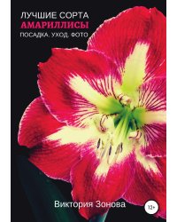 Амариллисы. Лучшие сорта