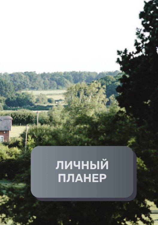 Обложка книги «Линчый планер (современный)» — автора нет, ISBN 9785521894659