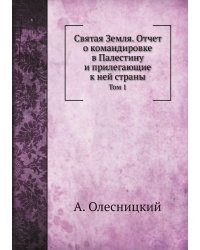 Святая Земля. Отчет о командировке в Палестину и прилегающие к ней страны