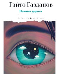 Ночные дороги