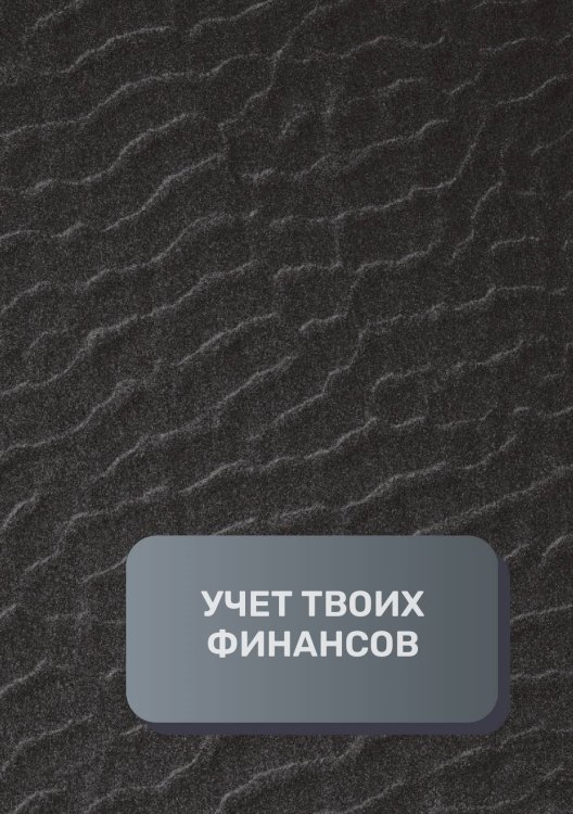 Обложка книги «Учет твоих финансов» — автора нет, ISBN 9785521892280
