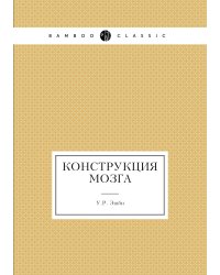 Конструкция мозга
