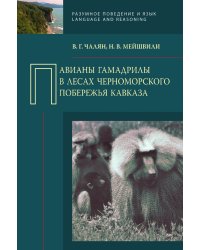 Павианы гамадрилы в лесах Черноморского побережья Кавказа