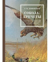 Сокола-кречеты