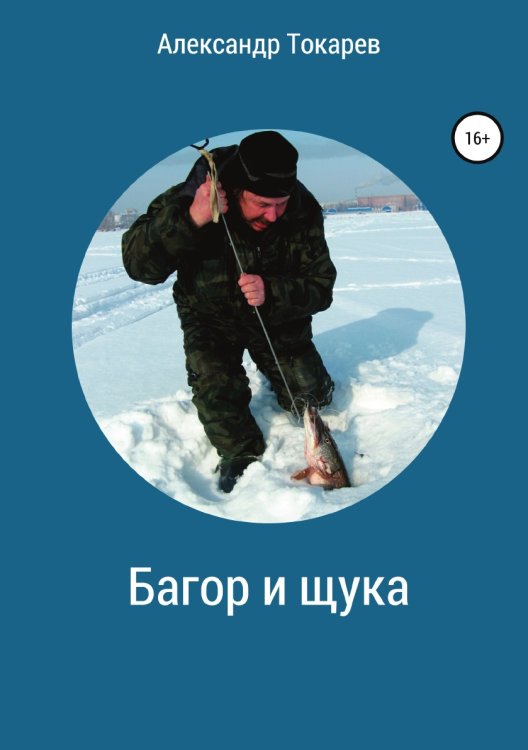 Обложка книги «Багор и щука. Сборник» — Александр Токарев, ISBN 9785532094277
