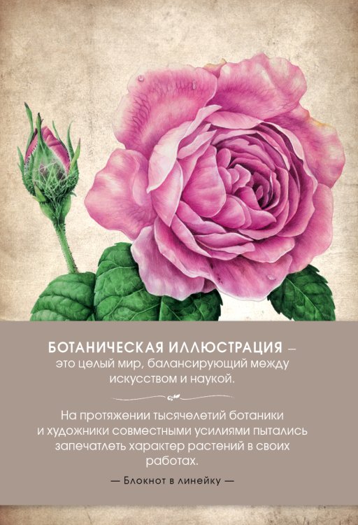 Обложка книги «Блокнот. Ботаническая иллюстрация (розовый)» — Нет автора, ISBN 9785042243868