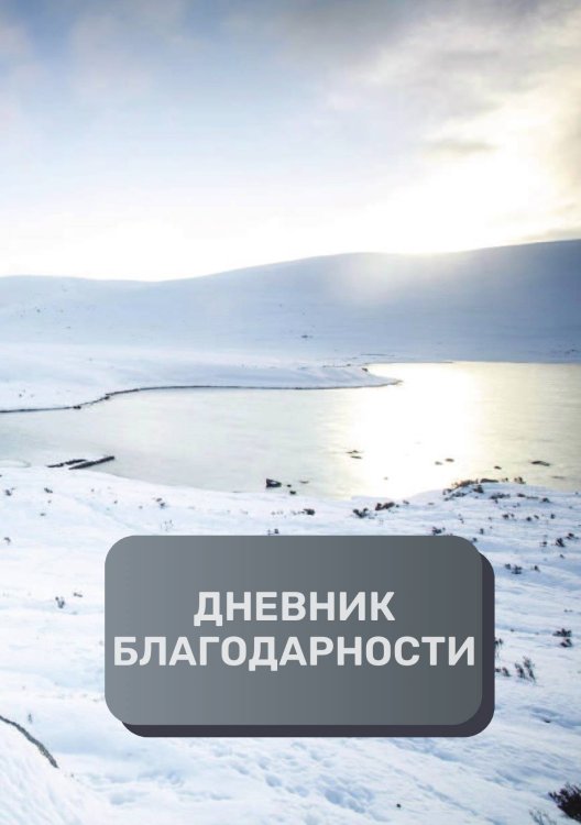 Обложка книги «Дневник благодарности, премиум (подарочное) издание, 100 страниц» — автора нет, ISBN 9785521896516