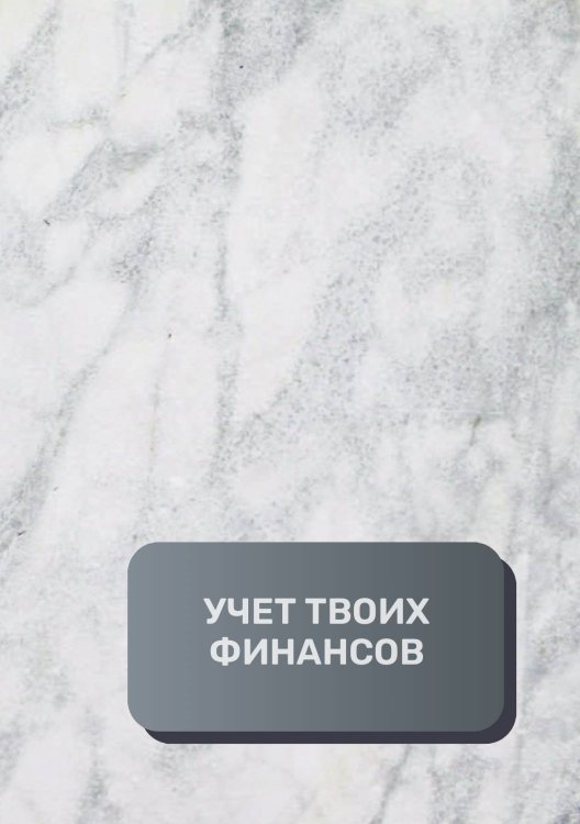 Обложка книги «Учет твоих финансов» — автора нет, ISBN 9785521892266