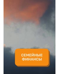 Семейный финансы на год