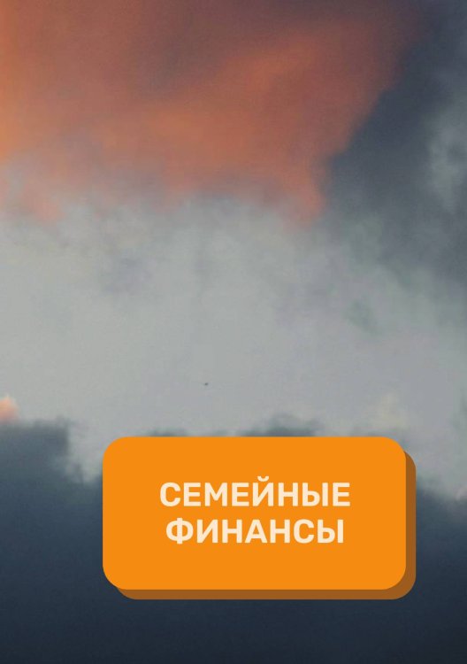 Обложка книги «Семейный финансы на год» — автора нет, ISBN 9785521891061