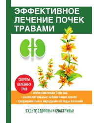 Эффективное лечение почек травами