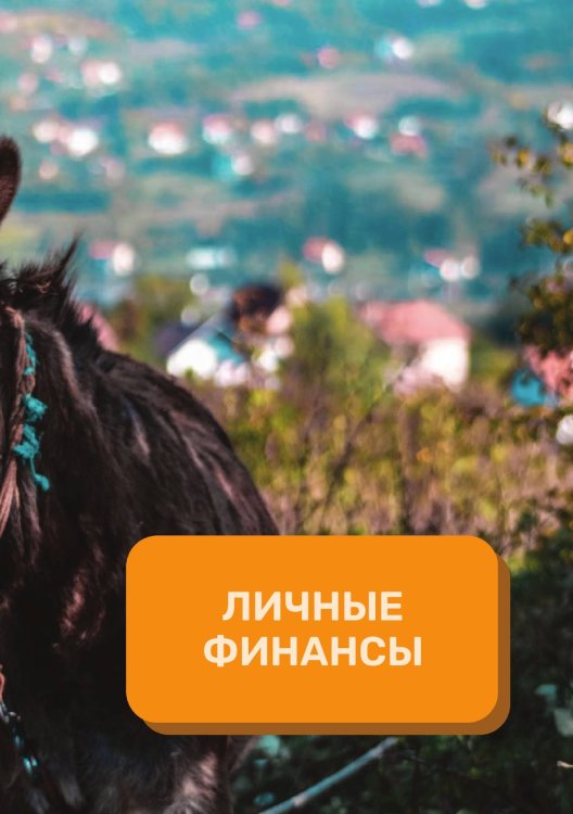 Личные финансы на год Обложка книги «Личные финансы на год» — автора нет, ISBN 9785521891337