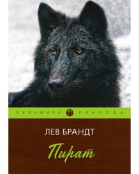 Пират