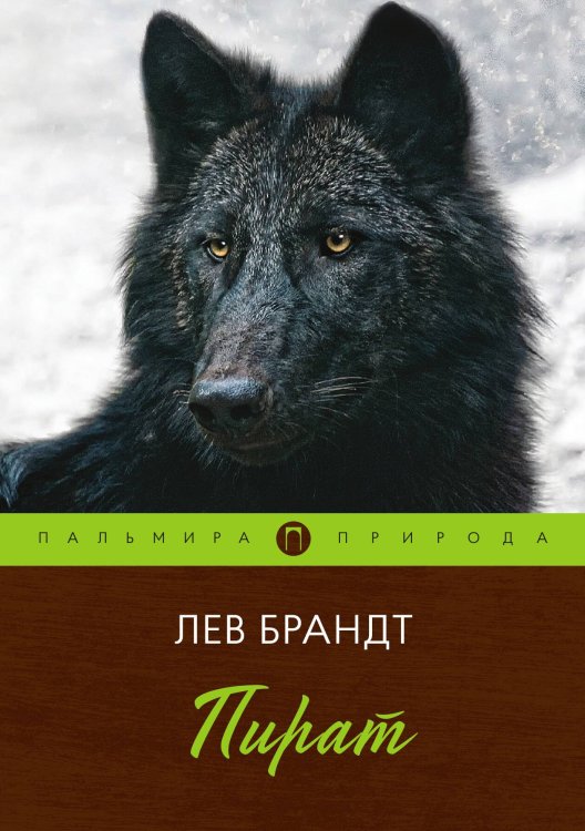 Обложка книги «Пират» — Лев Брандт, ISBN 9785517017697
