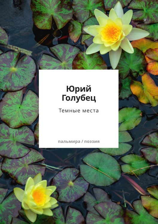 Обложка книги «Темные места» — Юрий Голубец, ISBN 9785517109460