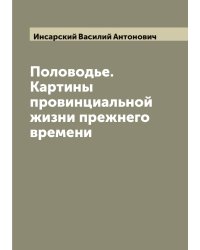 Половодье. Картины провинциальной жизни прежнего времени