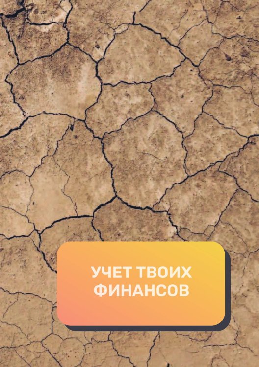 Обложка книги «Учет твоих финансов» — автора нет, ISBN 9785521892419