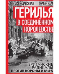 Герилья в Соединённом Королевстве. Британские радикалы против короны и Ми-5