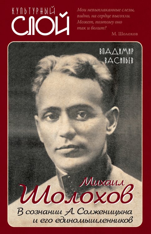 Михаил Шолохов. В сознании А. Солженицына и его единомышленников Обложка книги «Михаил Шолохов. В сознании А. Солженицына и его единомышленников» — Васильев Владимир, ISBN 9785907332850