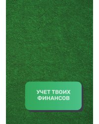 Учет твоих финансов