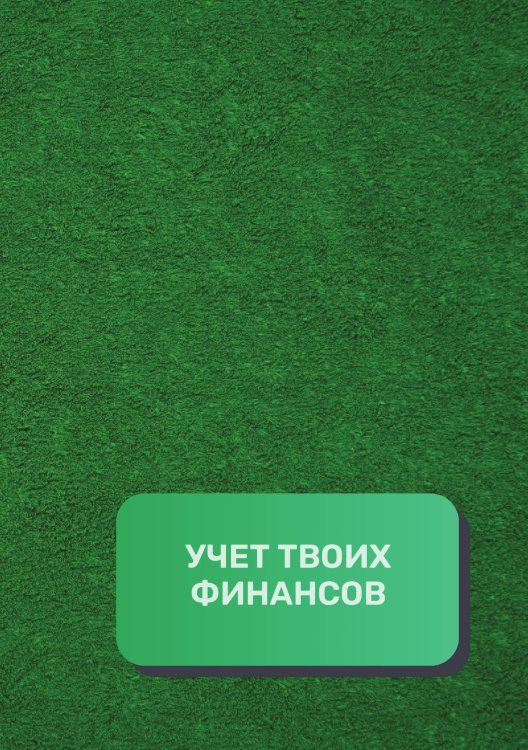 Обложка книги «Учет твоих финансов» — автора нет, ISBN 9785521892471