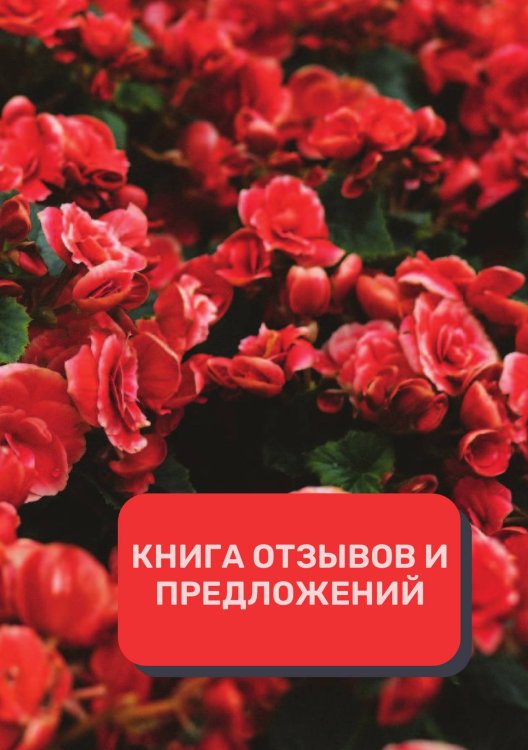 Обложка книги «Книга отзывов и предложений (Универсальная)» — автора нет, ISBN 9785521891535