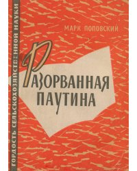 Разорванная паутина
