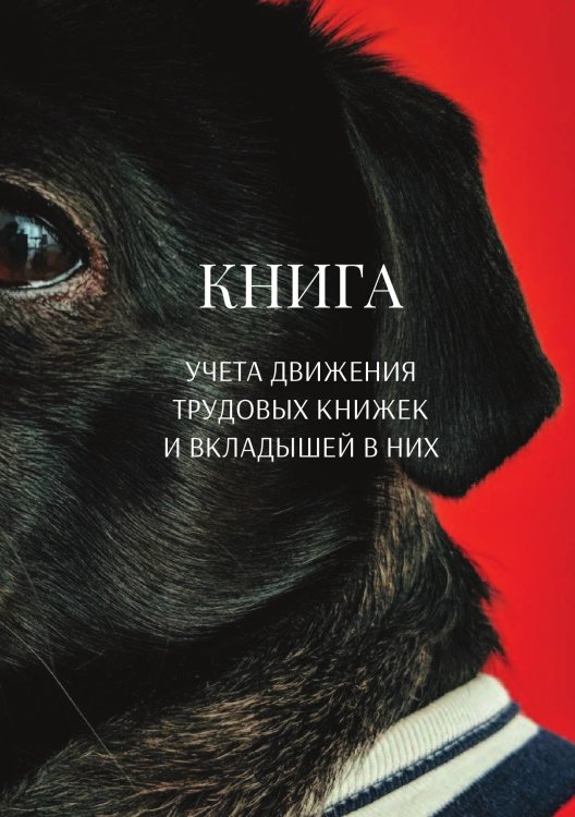 Обложка книги «Книга учета трудовых книжек и вкладыщей к ним» — автора нет, ISBN 9785521886883