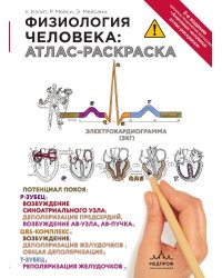 Физиология человека: атлас-раскраска