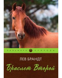 Браслет Второй