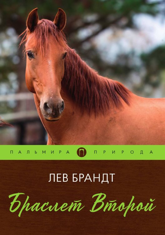 Обложка книги «Браслет Второй» — Лев Брандт, ISBN 9785517021052