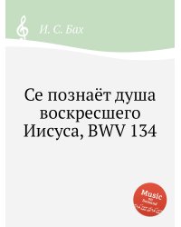 Се познаёт душа воскресшего Иисуса, BWV 134
