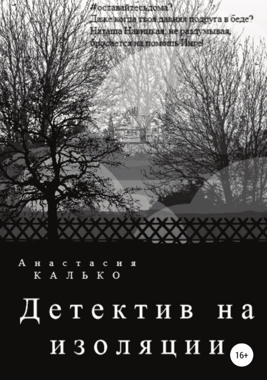 Обложка книги «Детектив на изоляции» — Анастасия Калько, ISBN 9785532975118