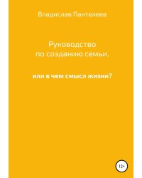 Руководство по созданию семьи, или В чем смысл жизни?